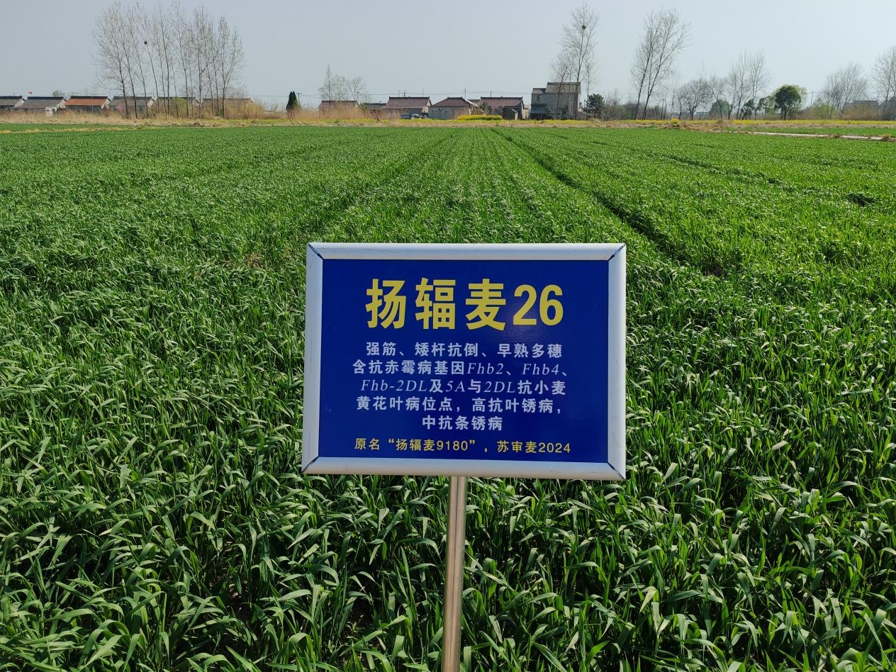 图片1.jpg