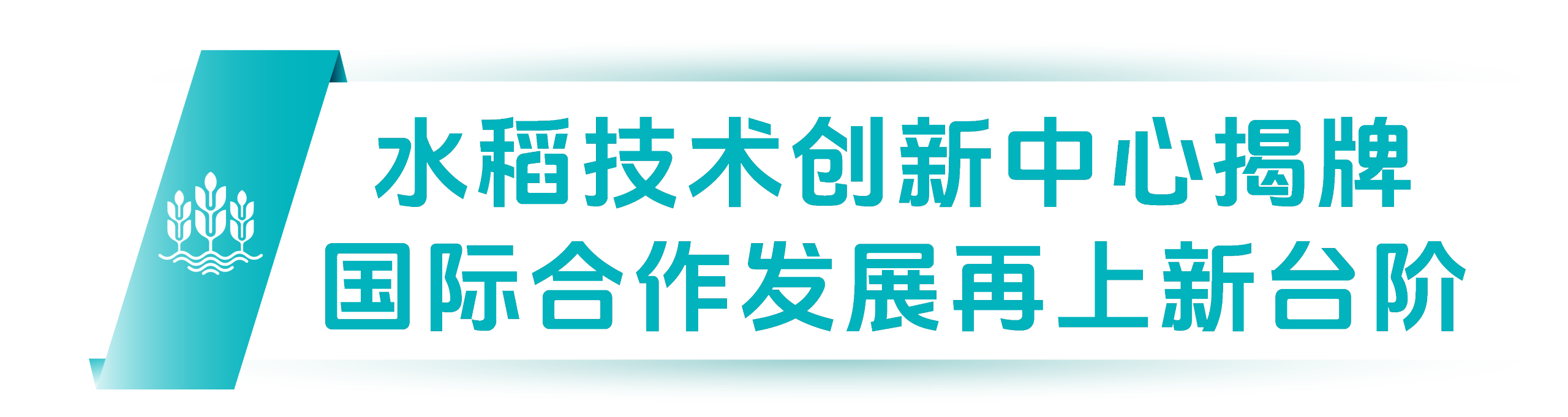 7.png 7.png