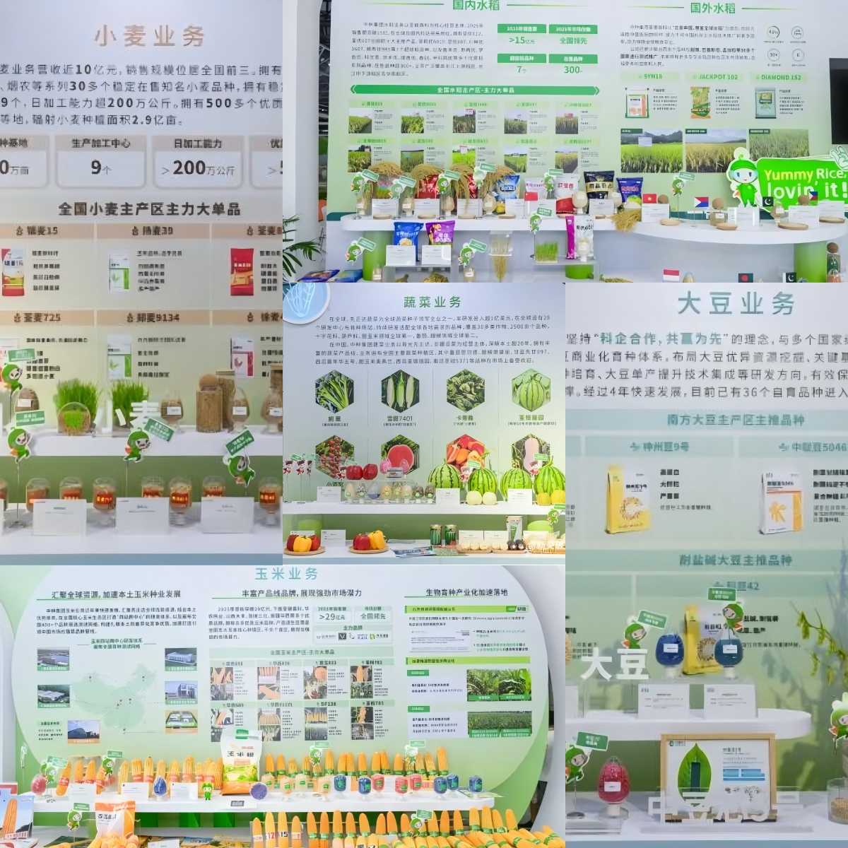 WPS拼图1.jpg WPS拼图1.jpg